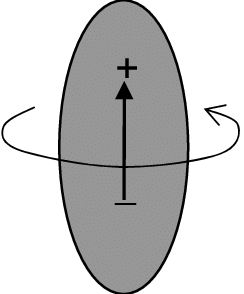 The Protein Robot Can Rotate About Its Axis Of Polarized Vector 244x294 The Protein Robot Can Rotate About Its Axis Of Polarized Vector