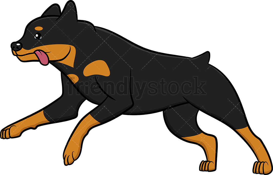 Rottweiler Vector