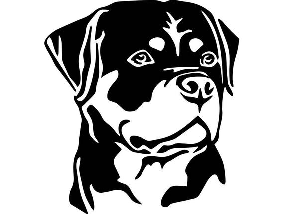 570x429 Huge Collection Of 'rottweiler Clipart' Download More Than