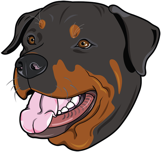633x600 Rottweiler
