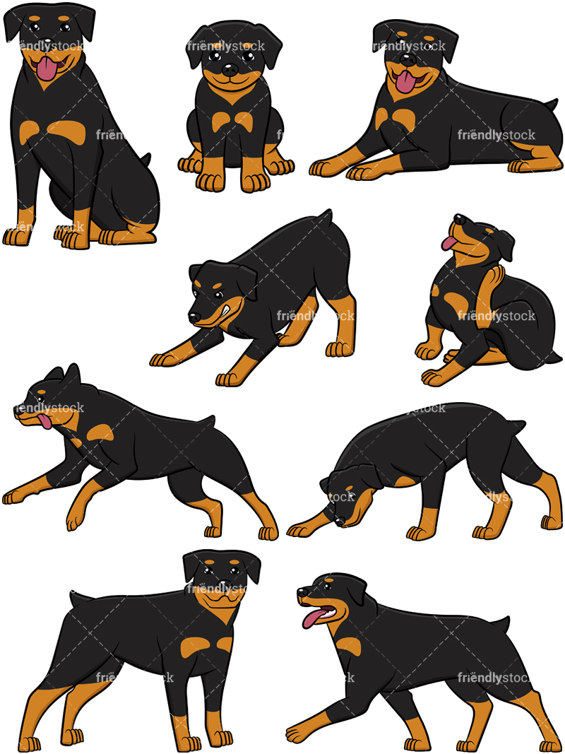 800x1067 Rottweiler Collection Cartoon Vector Clipart