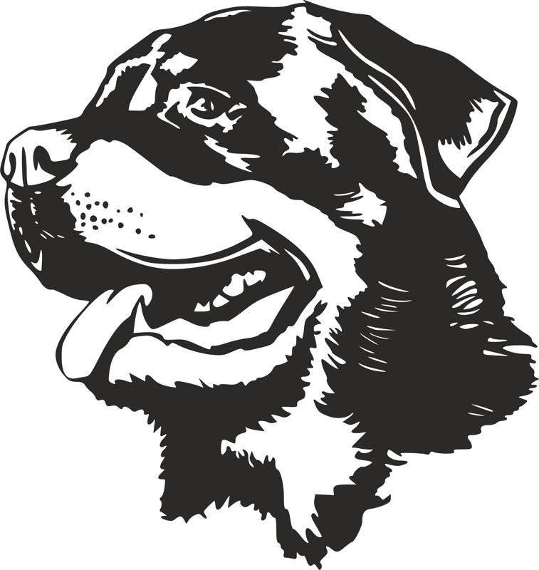 757x800 Rottweiler Dog Head Black White Vector Dxf Free Download