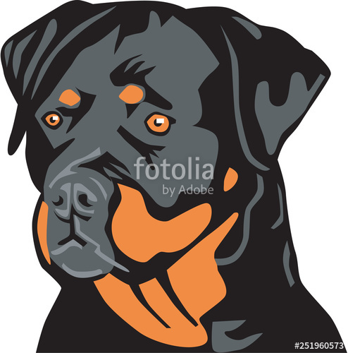 494x500 Rottweiler Vector Illustration Stock Image And Royalty Free