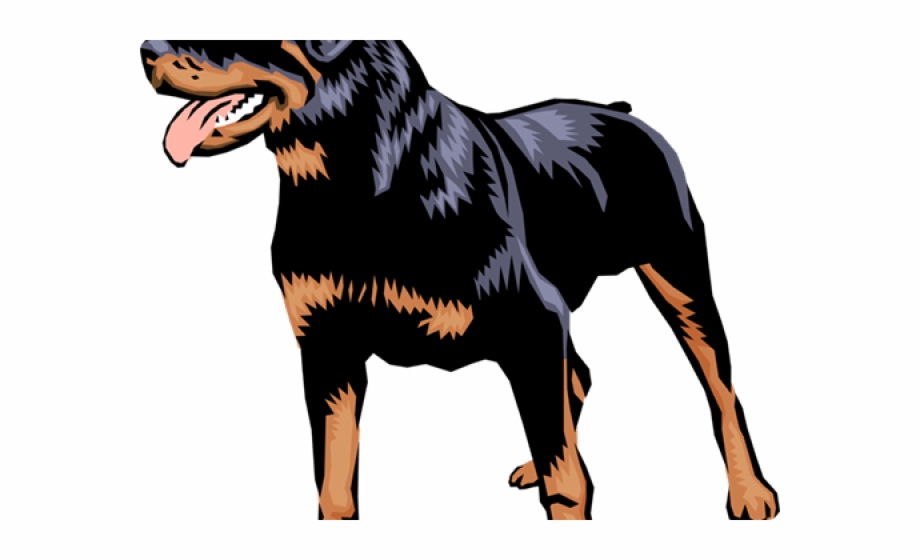 920x560 Rottweiler Vector Png, Transparent Png Download For Free