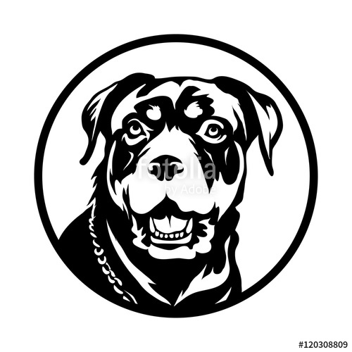 500x500 Rottweiler Dog Logo Stock Image And Royalty Free Vector