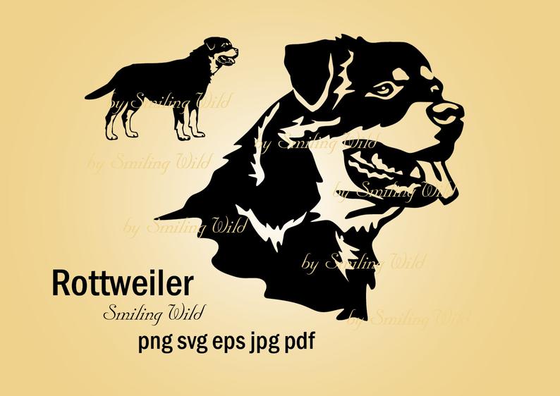 794x562 Rottweiler Clipart Vector Graphic Art Rottweiler Portrait Etsy
