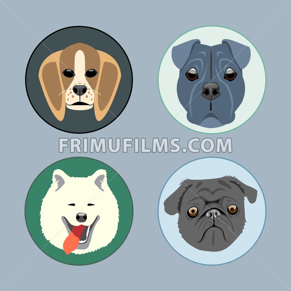 600x600 Dogs Set Flat Style Husky, Rottweiler, Taxa, Victorian Digital