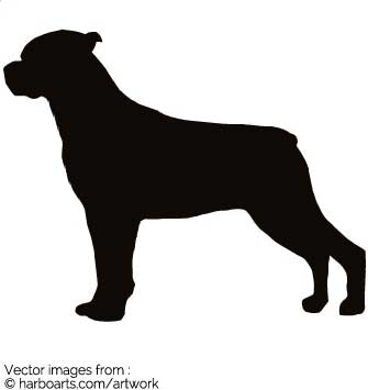 335x355 Download Rottweiler Standing Guarddog