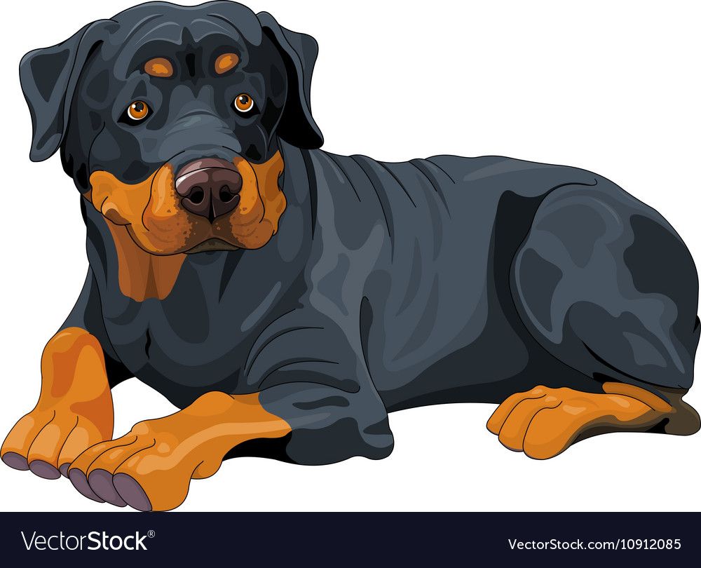 Dog Vectors In Animal Drawings 1000x810 Dog Vectors In Animal Drawings