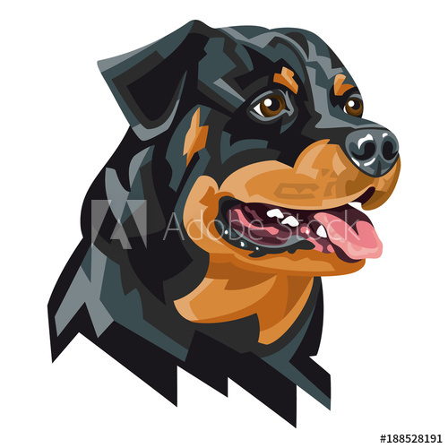 Rottweiler 500x500 Rottweiler