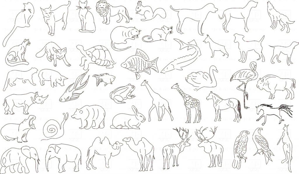 High Tech Zoo Animal Outlines Set Of Animals Rough Vector Image 1024x596 High Tech Zoo Animal Outlines Set Of Animals Rough Vector Image