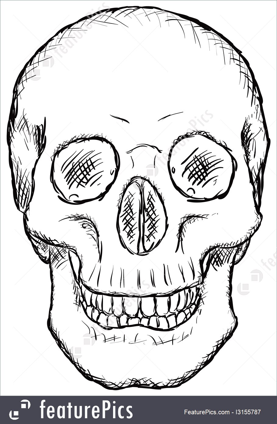 Human Body Parts Skull 909x1392 Human Body Parts Skull