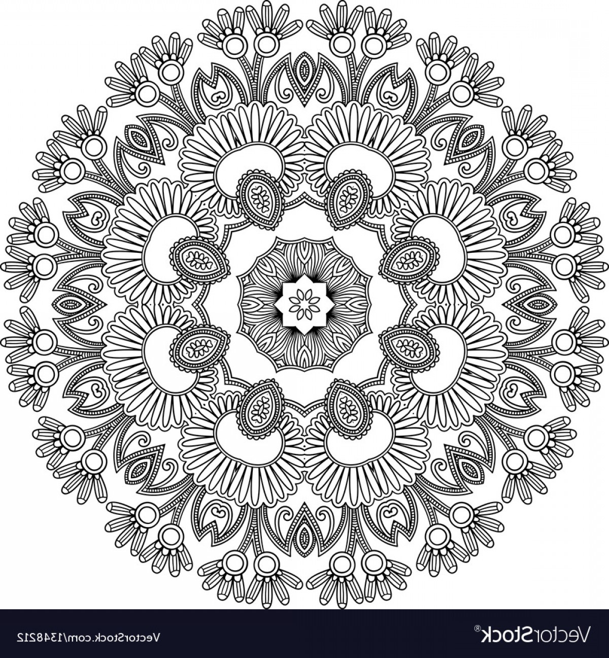 1200x1296 Lace Vector Catchsplace