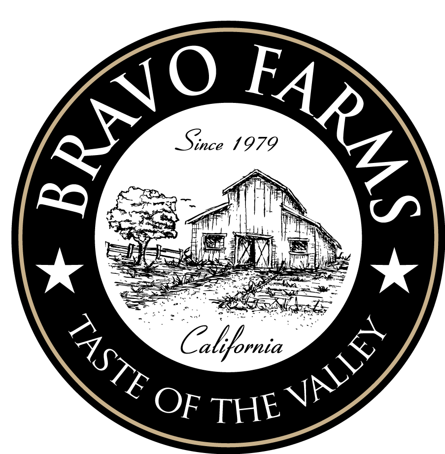 903x922 Round Logo Vector Free Download Logo Image