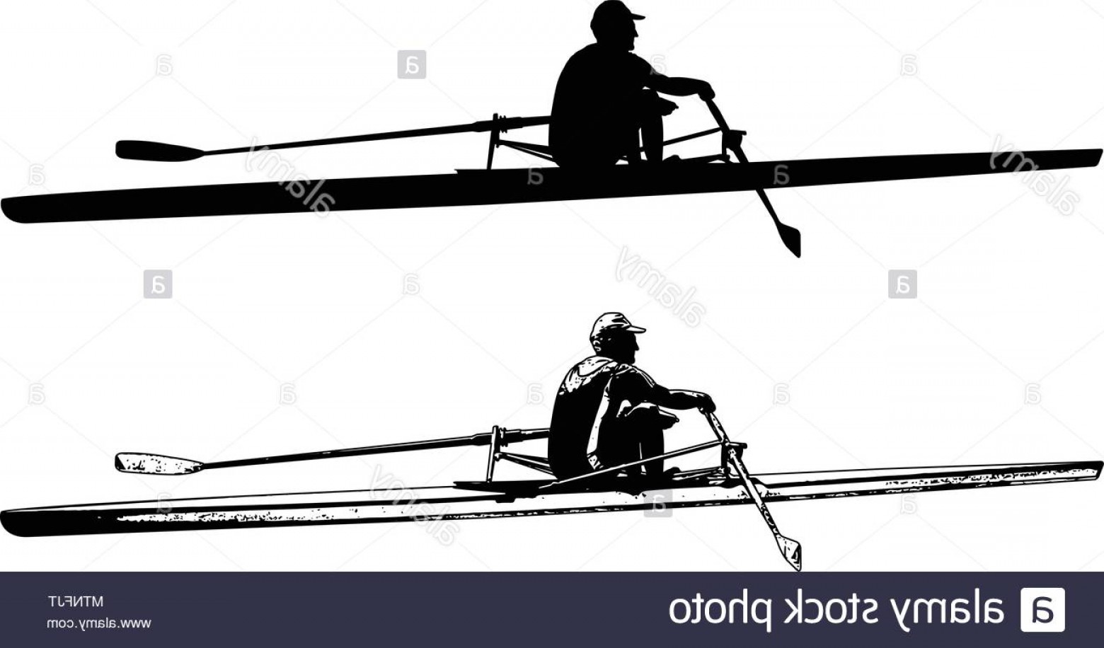 1560x916 Rower Sketch And Silhouette Vector Image Hoodamathrun