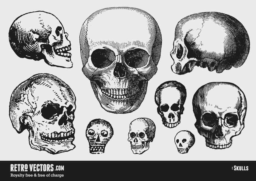 841x596 Free Vector Skulls Vintage Vectors Royalty Free Free