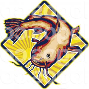Photostock Vector Graphic Catfish On White Background Vector 300x300 Photostock Vector Graphic Catfish On White Background Vector
