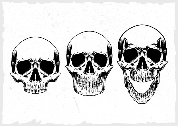 Royalty Free Vector Skull
