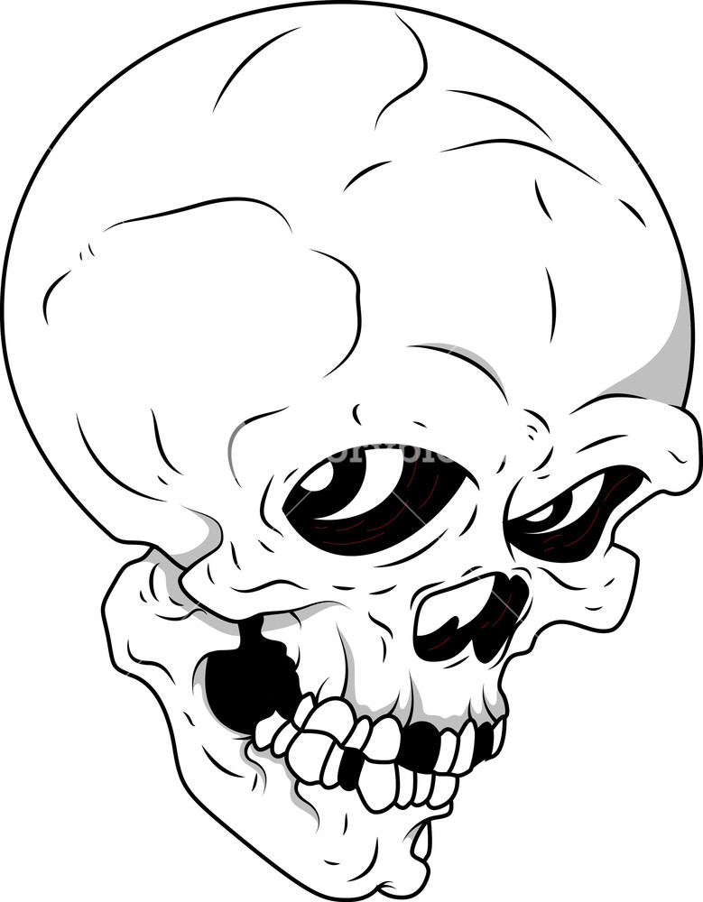 Royalty Free Vector Skull at Vectorified.com | Collection of Royalty ...