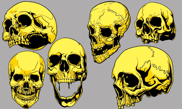 600x360 Skull
