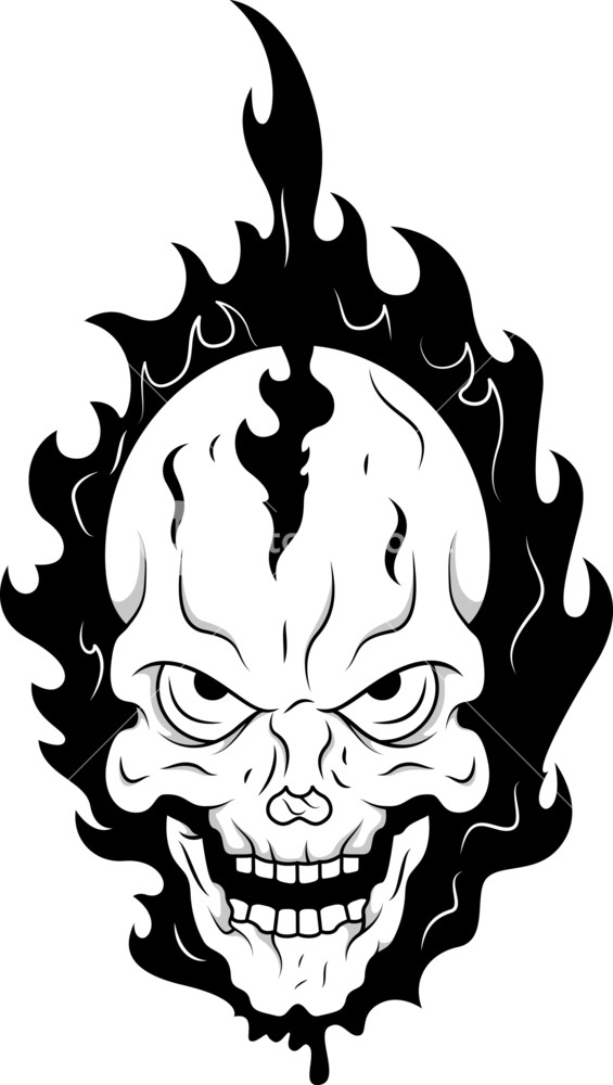565x1000 Tattoo Vector Skull Royalty Free Stock Image