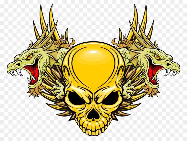 736x556 Vector Skull Royalty Free Skull Illustration Yellow Skull Vector