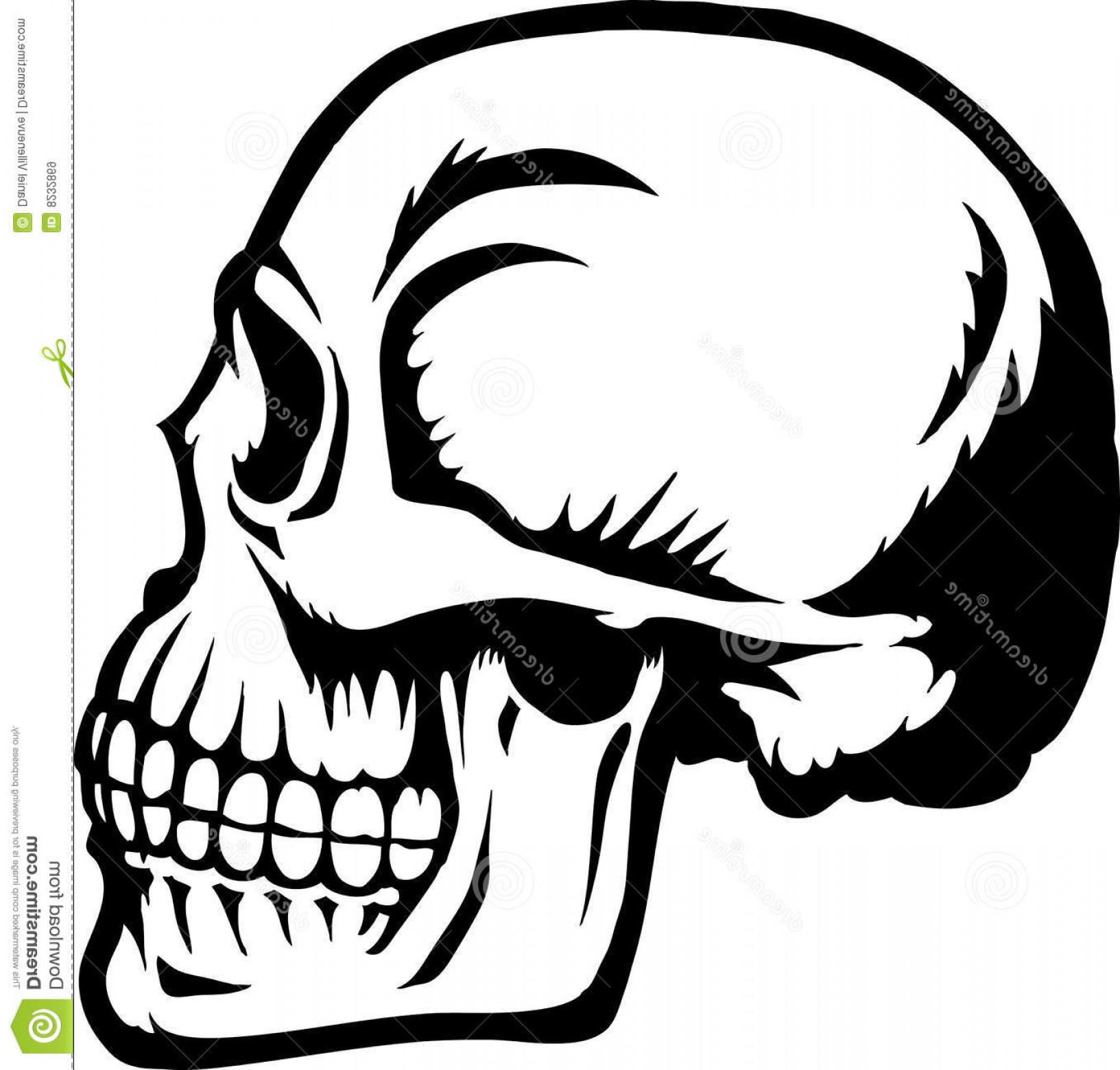 1633x1560 Vector Skull Side View Catamart