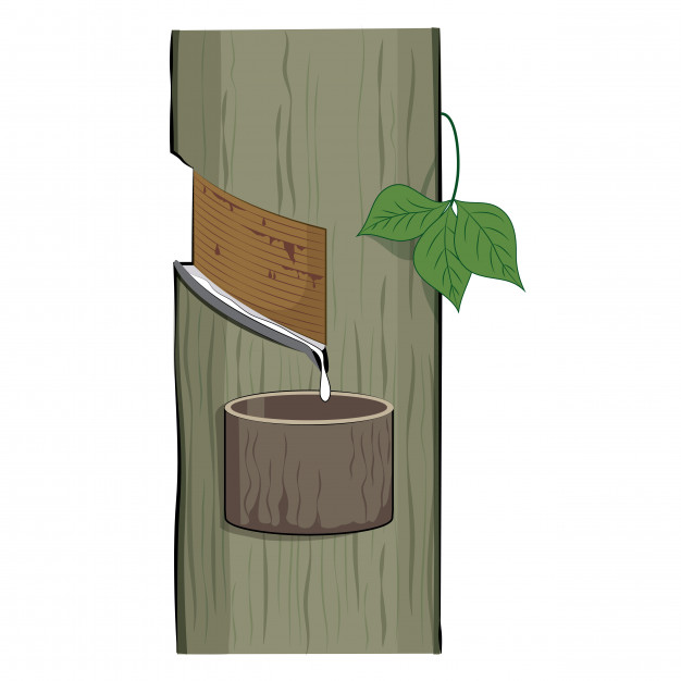 626x626 Natural Latex Dripping From A Rubber Tree Vector Premium Download