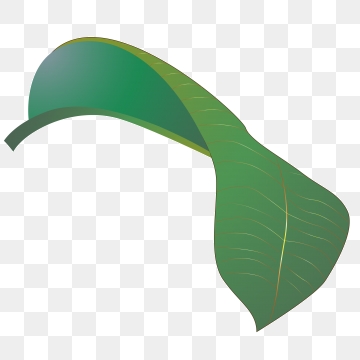 360x360 Rubber Tree Png, Vector, And Clipart With Transparent