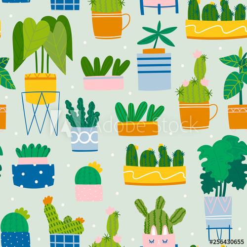 500x500 Various Home Plants Various Pots Monstera, Rubber Plant