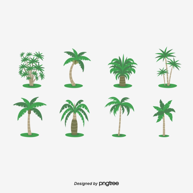 640x640 Vector Green Tropical Trees Rubber Tree Collection, Tropical Trees