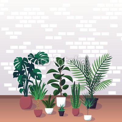 400x400 Vector Illustration Of Various Ornamental Houseplants On Brick