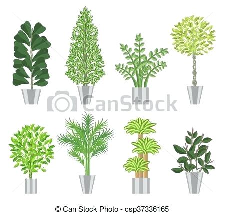450x428 Trees House Plants