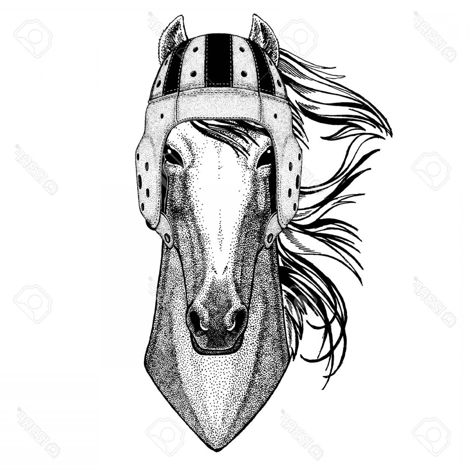 1560x1560 Knight Vector Rugby Cultracing