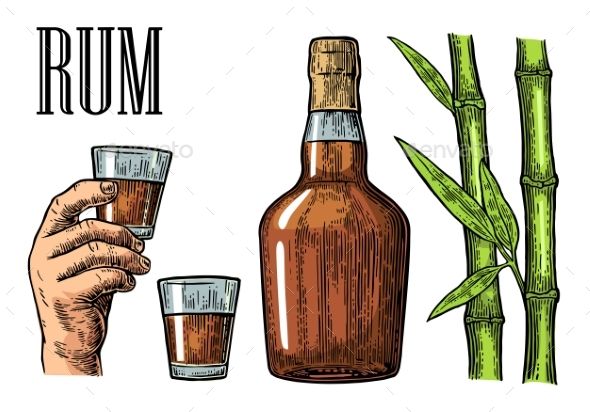 Rum Bottle Vector at Vectorified.com | Collection of Rum Bottle Vector ...