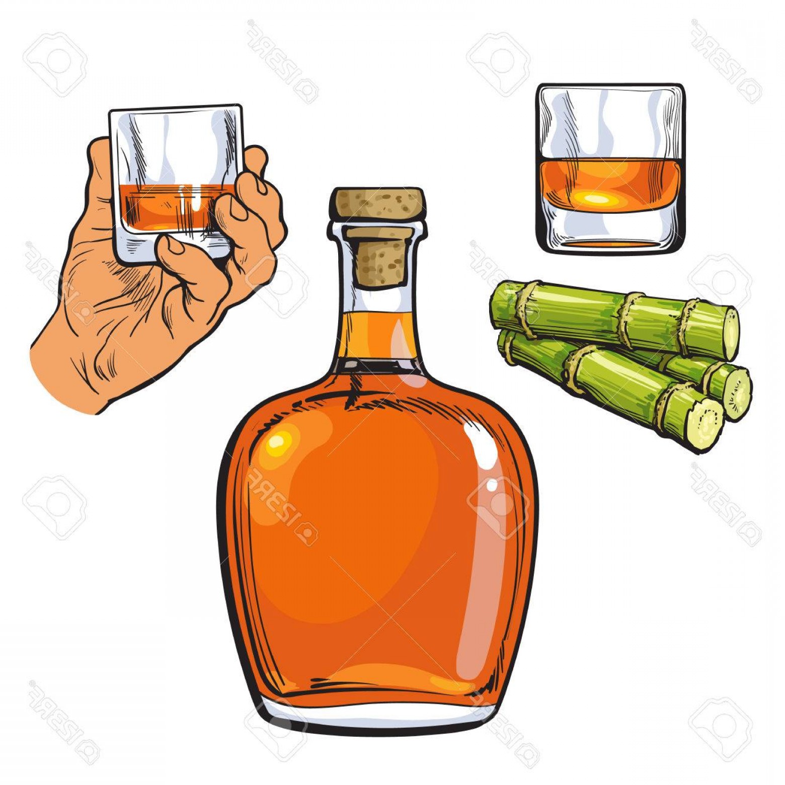 Rum Bottle Vector at Vectorified.com | Collection of Rum Bottle Vector ...