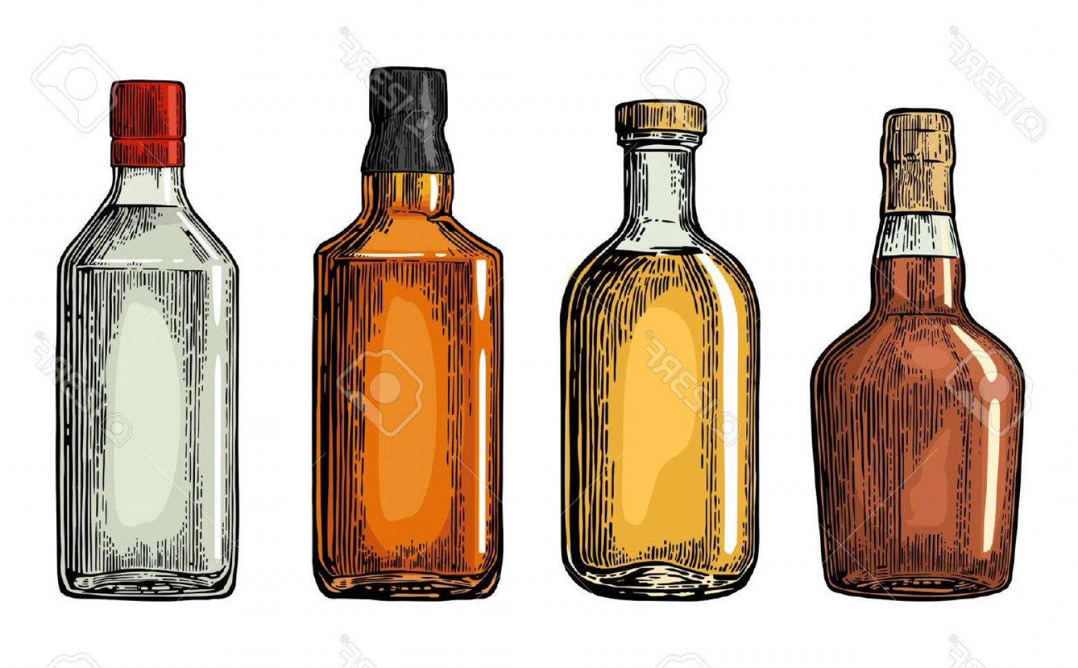 1560x967 Photostock Vector Set Bottle For Gin Rum Whiskey Tequila Vector