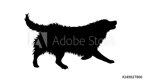 Illustration Of Running Dog Icon Vector Silhouette On White 500x278 Illustration Of Running Dog Icon Vector Silhouette On White