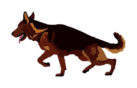 Portrait Of German Shepherd Running Dog Vector Illustration 450x288 Portrait Of German Shepherd Running Dog Vector Illustration