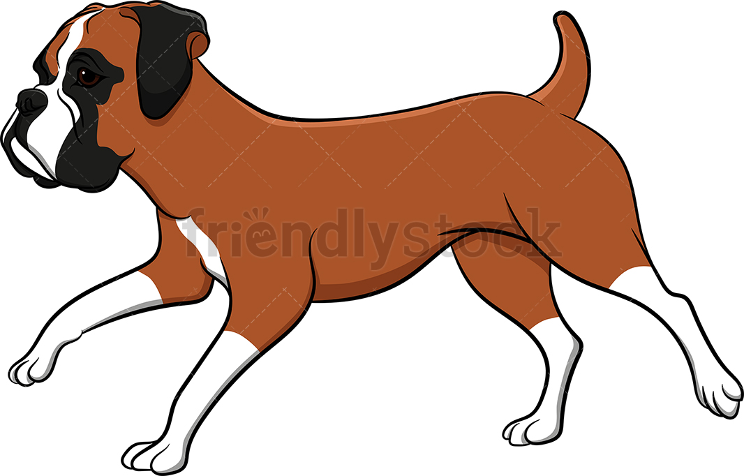 Running Boxer Dog Cartoon Vector Clipart 1066x682 Running Boxer Dog Cartoon Vector Clipart