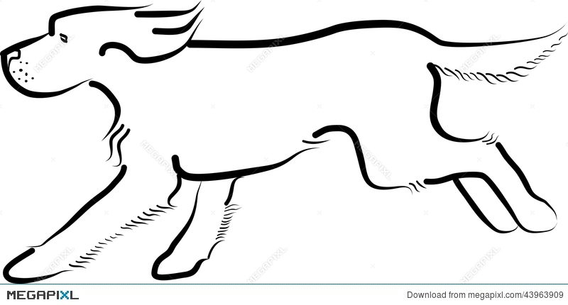 Running Dog Vector Illustration Illustration 800x430 Running Dog Vector Illustration Illustration