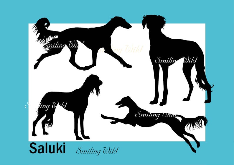 Saluki Dog Silhouette Clipart Persian Greyhound Printable Etsy 794x562 Saluki Dog Silhouette Clipart Persian Greyhound Printable Etsy