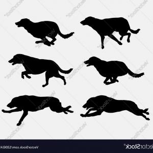Vector Illustration Of Silhouetted Hound Dog Running 300x300 Vector Illustration Of Silhouetted Hound Dog Running