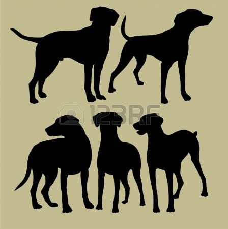 Dog Silhouette Running Silhouette Of The Dogs Illustration Info 448x450 Dog Silhouette Running Silhouette Of The Dogs Illustration Info
