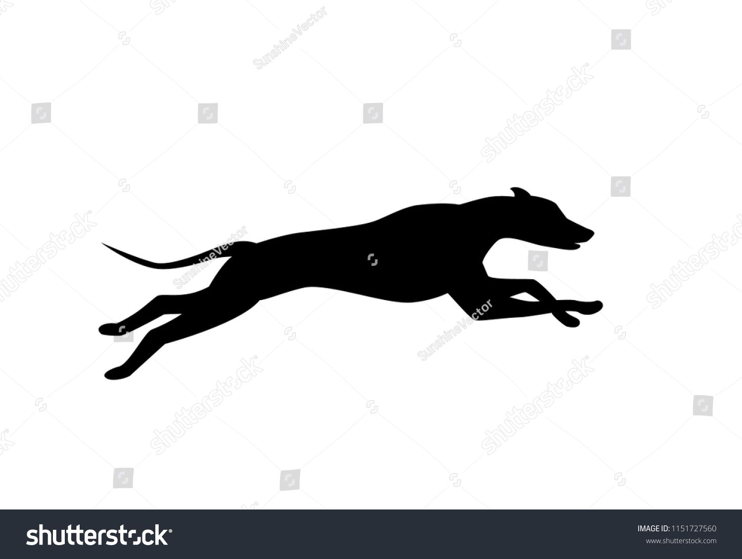 Running Dog Silhouette In Black Color Vectorsilhouette Dog Running 1500x1129 Running Dog Silhouette In Black Color Vectorsilhouette Dog Running