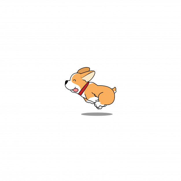 Cute Welsh Corgi Dog Running Vector Illustration Vector Premium 626x626 Cute Welsh Corgi Dog Running Vector Illustration Vector Premium
