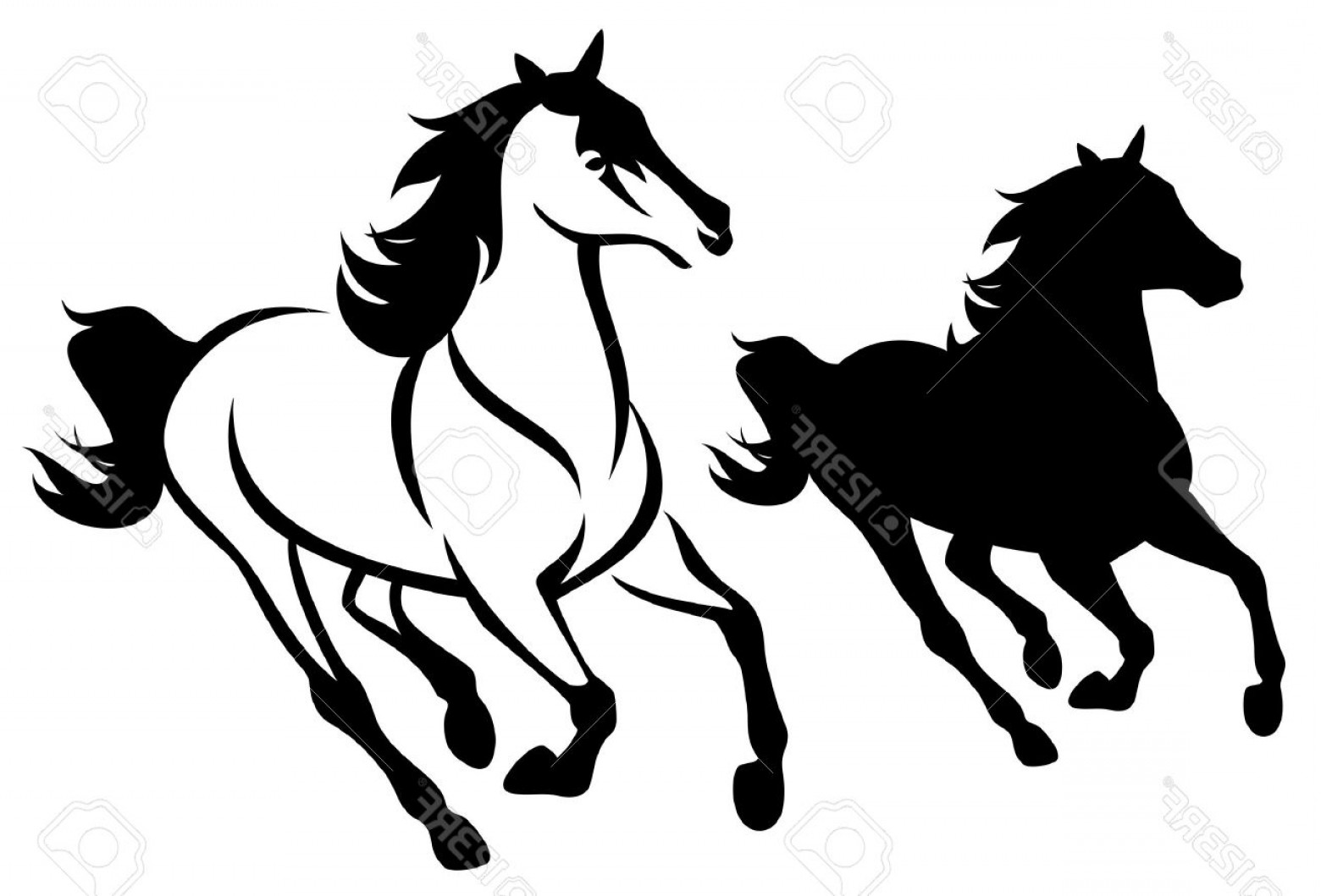 1560x1059 Photostock Vector Running Horse Black And White Outline