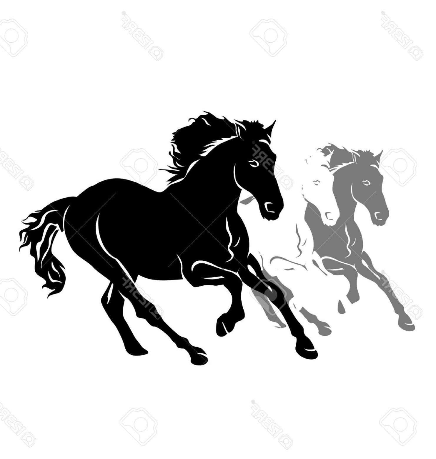 1482x1560 Photostock Vector Vector Silhouettes Of Three Running Horses