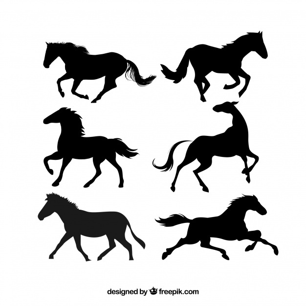 626x626 Running Horse Vectors, Photos And Free Download