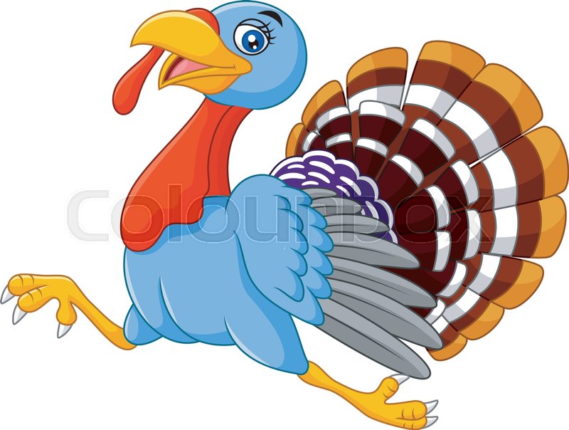 800x604 Illustration Of Cartoon Turkey Running Stock Vector Colourbox